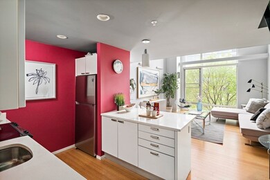 Sierra & Tango Condominiums unit 316, Cambridge, MA 02141 - photo 5