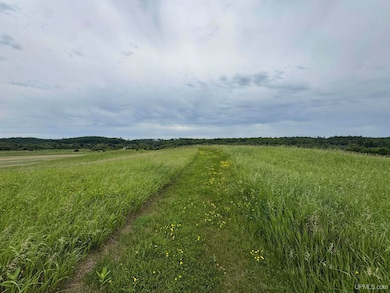 TBD New York Lake Rd, Vulcan, MI 49892 - photo 6