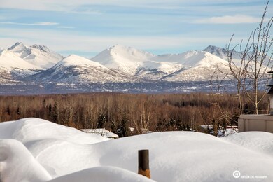 13_MountainViews