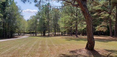 Beautiful front yard