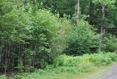 Lot 18 Moose Run Rd, Wellington, ME 04942 - photo 7