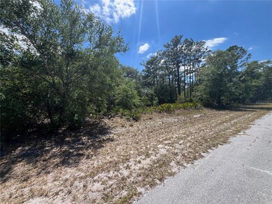 0 Oleander Dr unit MFRP4934522, Indian Lake Estates, FL 33855 - photo 4