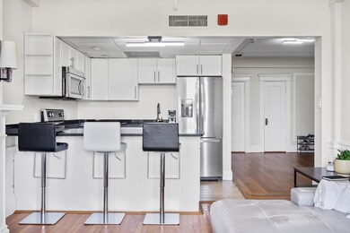 The Braemore unit 601, Boston, MA 02215 - photo 6