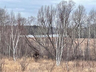 XXX 85th Avenue Ave, Dresser, WI 54009 - photo 7