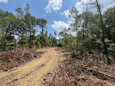 0 Tbd Libuse Cutoff Rd, Pineville, LA 71360 - photo 4