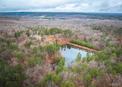 1950 Lake Forest Dr, Park Hills, MO 63601 - photo 4