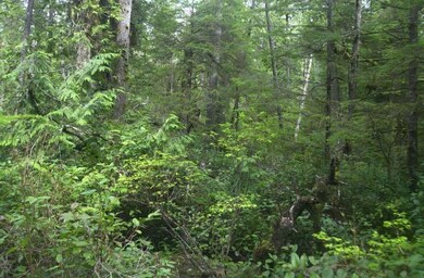 029 Overlook Ln, Wells, ME 04090 - photo 2