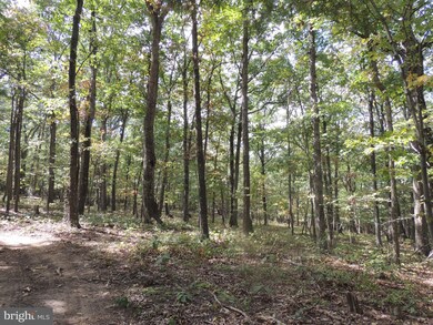 0 Hunting Ridge Rd unit VAFV153122, Winchester, VA 22603 - photo 5