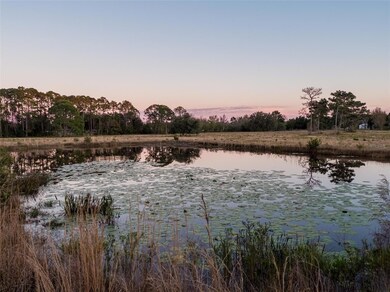 Large pond with tons of fish!