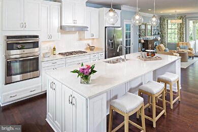 25025 Cambridge Hill Terrace, Chantilly, VA 20152 - photo 2