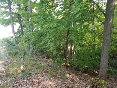 2267 W Lake Shore Dr, Bitely, MI 49309 - photo 3