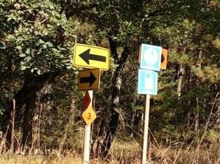 5353 W 32nd St, Baldwin, MI 49304 - photo 6