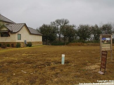 1317 Gruene Leaf Dr, New Braunfels, TX 78130 - photo 3