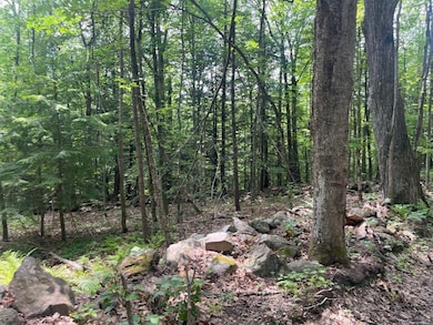 60 Pound Rd, Sanbornton, NH 03269 - photo 6