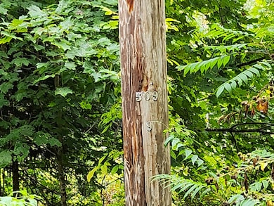 114 Millers Corner Rd, Palmyra, ME 04965 - photo 3