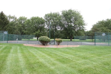 BASKETBALL AND TENNIS COURT WITH NIGHT LIGHTS.