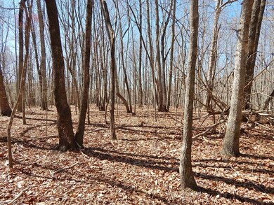 0 Deer Tracks Ln unit 750781, Misc., NC 27022 - photo 7