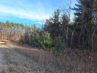 V/L Devolder Rd, Star Township, MI 49730 - photo 5