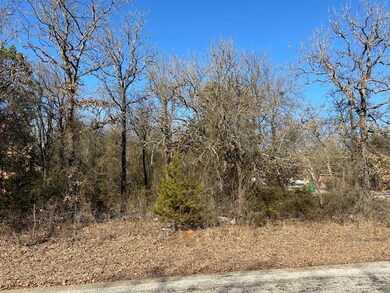 24018 Oak Shadow, Whitney, TX 76692 - photo 2