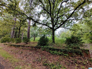 160 Circle Dr NE unit 18 & 19, Pell City, AL 35128 - photo 4