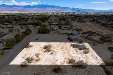 1921 W Dyer Rd, Pahrump, NV 89048 - photo 3