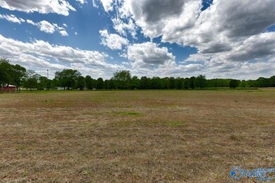 66 Acres Mint Rd, New Market, AL 35761 - photo 7