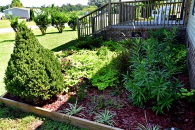 Beautiful Garden