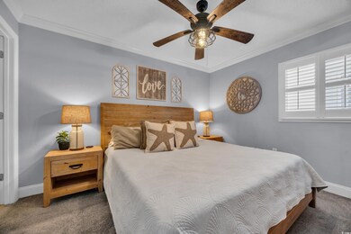 Bedroom featuring carpet floors, baseboards, ornamental molding, and ceiling fan