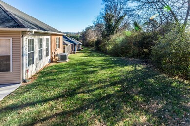 Level rear yard
