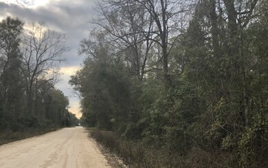 LOTS 27 &28 288th Terrace, Branford, FL 32008 - photo 2