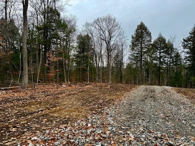 TBD Towle Hill Rd, Eaton, NH 03848 - photo 6