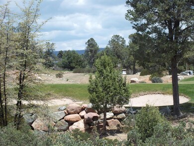 1005 N Indian Paintbrush Circle