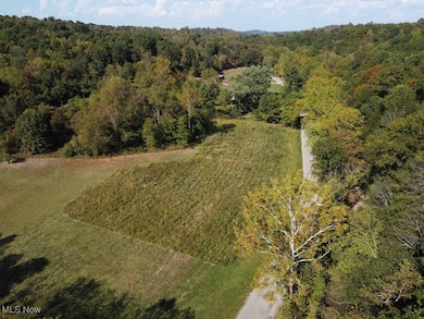 Aerial overview of property's location with a forest