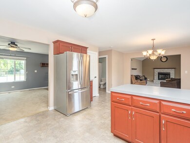 1741 Rose Ct, Morris, IL 60450 - photo 6