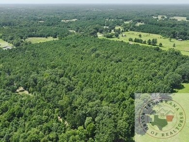 Tbd Fm 2149, Maud, TX 75567 - photo 4