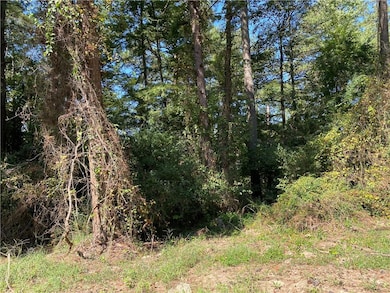 000 Lakewood Way NE, Conyers, GA 30012 - photo 3