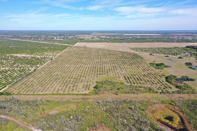 5020 Kenilworth Blvd, Sebring, FL 33870 - photo 6