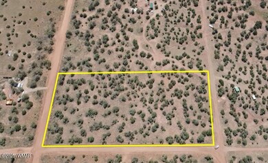 Approximate Lot Lines 4301-2