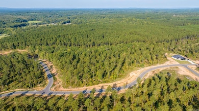 0000 Grandview Dr, Benton, AR 72019 - photo 7