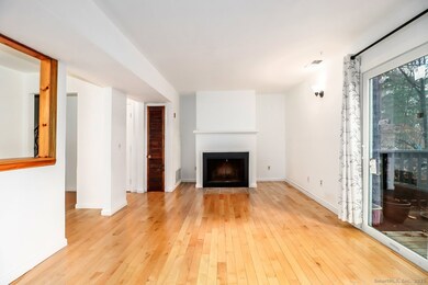 25 Padanaram Rd unit 30, Danbury, CT 06811 - photo 6