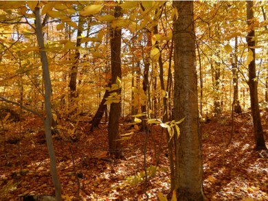 3 Old Post Rd, Newbury, NH 03255 - photo 5