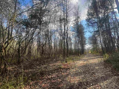 00 Lagrange Rd, Leighton, AL 35646 - photo 4