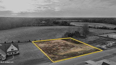 1505 Ashtons Ln, Hernando, MS 38632 - photo 7