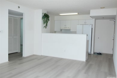 View of kitchen from the living room. Brand new vi