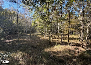 0 County Road 372, Elba, AL 36323 - photo 4