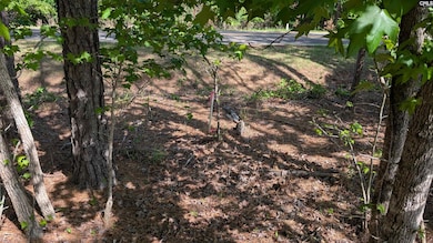 TBD Rolling Hills Rd, Ridgeway, SC 29130 - photo 3