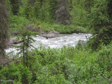South Fork Creek frontage Tr A