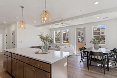 7-web-or-mls-DSC01824