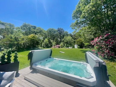 Swim Spa Hot Tub