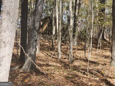 90 Moores Ln, Oxford, GA 30054 - photo 5